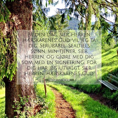 Picture 07 - Haggai 2:23 NORSK - På den dag, sier Herren, hærskarenes Gud, vil - Bible Verse Picture