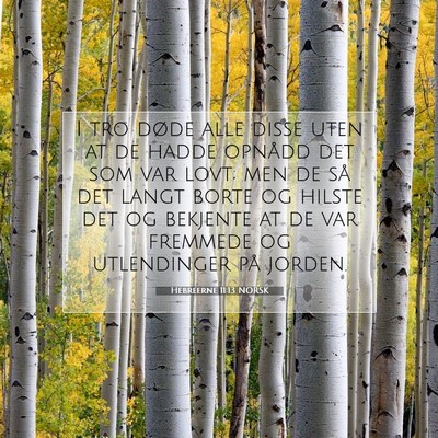 Picture 07 - Hebreerne 11:13 NORSK - I tro døde alle disse uten at de hadde opnådd - Bible Verse Picture