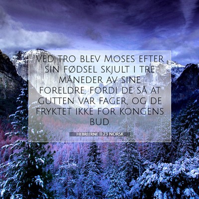 Picture 07 - Hebreerne 11:23 NORSK - Ved tro blev Moses efter sin fødsel skjult i tre - Bible Verse Picture