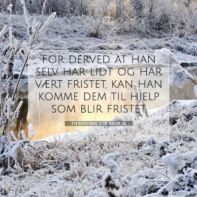 Picture 07 - Hebreerne 2:18 NORSK - For derved at han selv har lidt og har vært - Bible Verse Picture