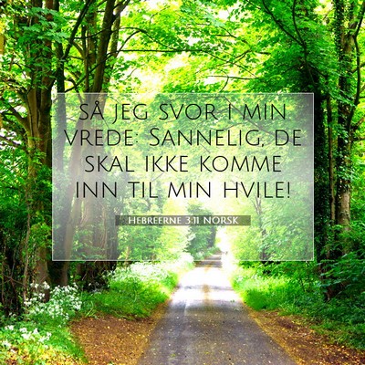 Picture 07 - Hebreerne 3:11 NORSK - så jeg svor i min vrede: Sannelig, de skal ikke - Bible Verse Picture
