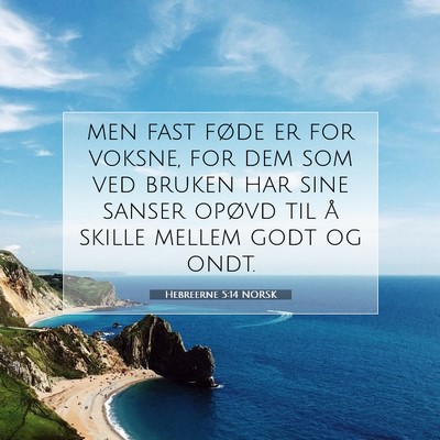 Picture 07 - Hebreerne 5:14 NORSK - men fast føde er for voksne, for dem som ved - Bible Verse Picture