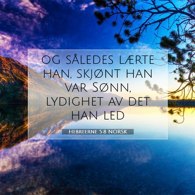 Picture 07 - Hebreerne 5:8 NORSK - og således lærte han, skjønt han var Sønn, - Bible Verse Picture