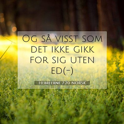 Picture 07 - Hebreerne 7:20 NORSK - Og så visst som det ikke gikk for sig uten - Bible Verse Picture