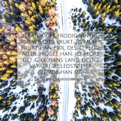 Picture 07 - Hosea 10:1 NORSK - Israel er et frodig vintre, som bærer frukt; jo - Bible Verse Picture