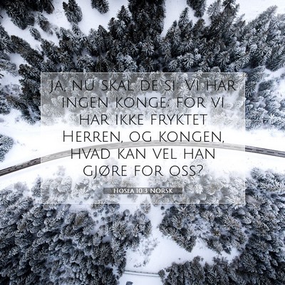 Picture 07 - Hosea 10:3 NORSK - ja, nu skal de si: Vi har ingen konge; for vi har - Bible Verse Picture