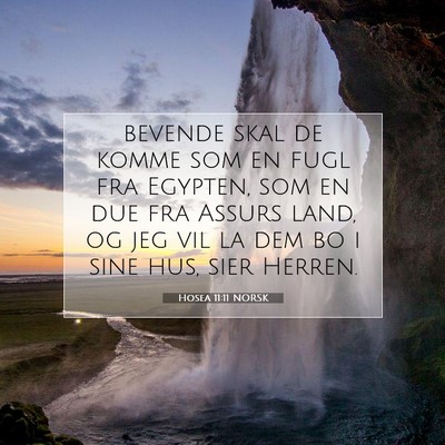Picture 07 - Hosea 11:11 NORSK - bevende skal de komme som en fugl fra Egypten, - Bible Verse Picture