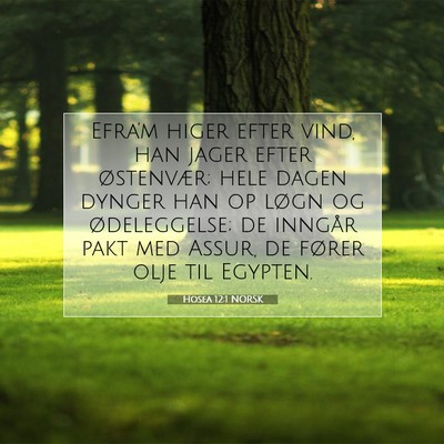 Picture 07 - Hosea 12:1 NORSK - Efra'm higer efter vind, han jager efter - Bible Verse Picture