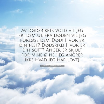Picture 07 - Hosea 13:14 NORSK - Av dødsrikets vold vil jeg fri dem ut, fra - Bible Verse Picture