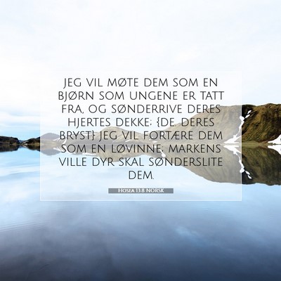 Picture 07 - Hosea 13:8 NORSK - jeg vil møte dem som en bjørn som ungene er - Bible Verse Picture