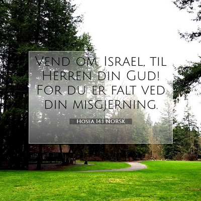 Picture 07 - Hosea 14:1 NORSK - Vend om, Israel, til Herren din Gud! For du er - Bible Verse Picture