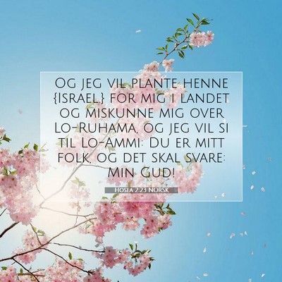 Picture 07 - Hosea 2:23 NORSK - Og jeg vil plante henne {Israel.} for mig i - Bible Verse Picture