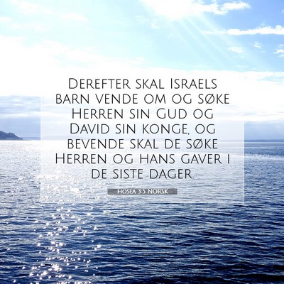 Picture 07 - Hosea 3:5 NORSK - Derefter skal Israels barn vende om og søke - Bible Verse Picture