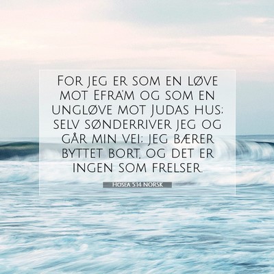 Picture 07 - Hosea 5:14 NORSK - For jeg er som en løve mot Efra'm og som en - Bible Verse Picture