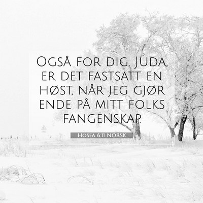 Picture 07 - Hosea 6:11 NORSK - Også for dig, Juda, er det fastsatt en høst, - Bible Verse Picture