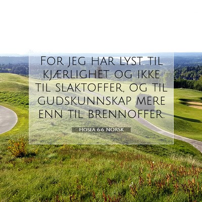 Picture 07 - Hosea 6:6 NORSK - For jeg har lyst til kjærlighet og ikke til - Bible Verse Picture