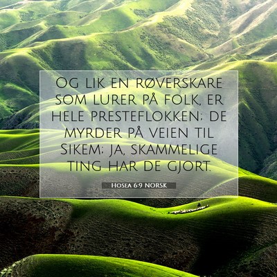 Picture 07 - Hosea 6:9 NORSK - Og lik en røverskare som lurer på folk, er hele - Bible Verse Picture