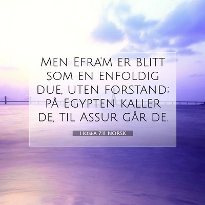 Picture 07 - Hosea 7:11 NORSK - Men Efra'm er blitt som en enfoldig due, uten - Bible Verse Picture