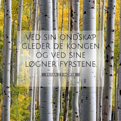 Picture 07 - Hosea 7:3 NORSK - Ved sin ondskap gleder de kongen og ved sine - Bible Verse Picture