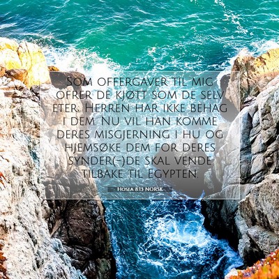 Picture 07 - Hosea 8:13 NORSK - Som offergaver til mig ofrer de kjøtt som de - Bible Verse Picture