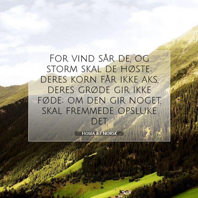 Picture 07 - Hosea 8:7 NORSK - For vind sår de, og storm skal de høste; deres - Bible Verse Picture