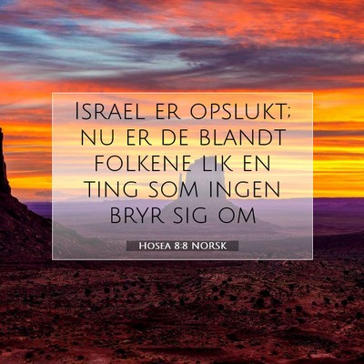 Picture 07 - Hosea 8:8 NORSK - Israel er opslukt; nu er de blandt folkene lik en - Bible Verse Picture