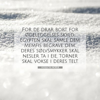 Picture 07 - Hosea 9:6 NORSK - For de drar bort for ødeleggelses skyld; Egypten - Bible Verse Picture