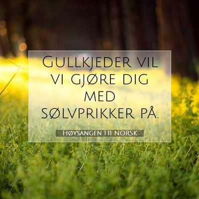 Picture 07 - Høysangen 1:11 NORSK - Gullkjeder vil vi gjøre dig med sølvprikker - Bible Verse Picture