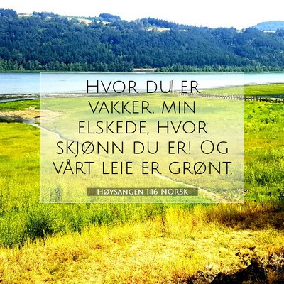 Picture 07 - Høysangen 1:16 NORSK - Hvor du er vakker, min elskede, hvor skjønn du - Bible Verse Picture