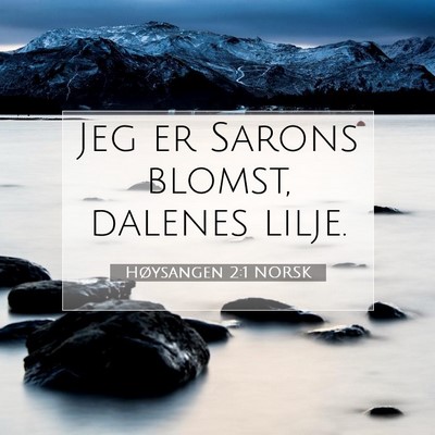 Picture 07 - Høysangen 2:1 NORSK - Jeg er Sarons blomst, dalenes - Bible Verse Picture