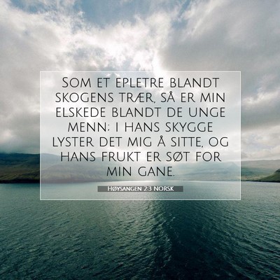 Picture 07 - Høysangen 2:3 NORSK - Som et epletre blandt skogens trær, så er min - Bible Verse Picture