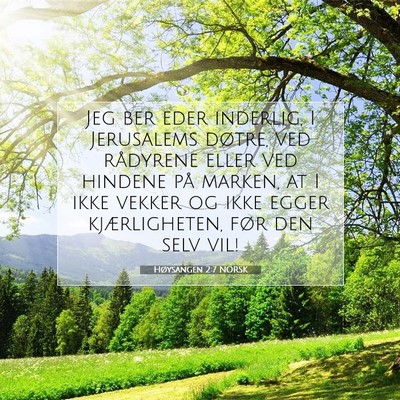 Picture 07 - Høysangen 2:7 NORSK - Jeg ber eder inderlig, I Jerusalems døtre, ved - Bible Verse Picture