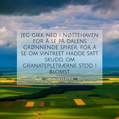 Picture 07 - Høysangen 6:11 NORSK - Jeg gikk ned i nøttehaven for å se på dalens - Bible Verse Picture
