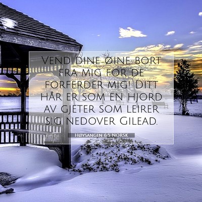 Picture 07 - Høysangen 6:5 NORSK - Vend dine øine bort fra mig for de forferder - Bible Verse Picture