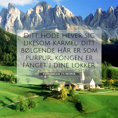 Picture 07 - Høysangen 7:5 NORSK - Ditt hode hever sig likesom Karmel; ditt - Bible Verse Picture