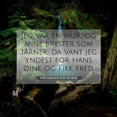 Picture 07 - Høysangen 8:10 NORSK - Jeg var en mur, og mine bryster som tårner; da - Bible Verse Picture