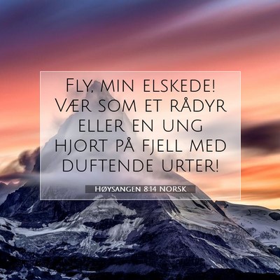 Picture 07 - Høysangen 8:14 NORSK - Fly, min elskede! Vær som et rådyr eller en ung - Bible Verse Picture