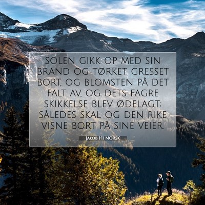 Picture 07 - Jakob 1:11 NORSK - solen gikk op med sin brand og tørket gresset - Bible Verse Picture