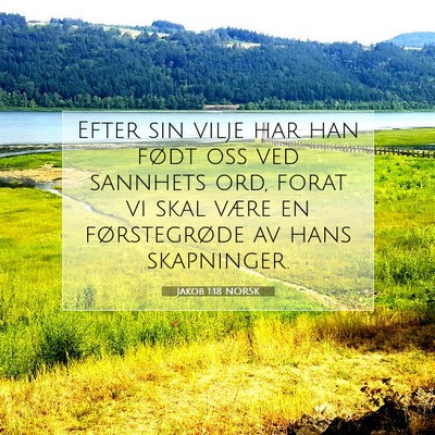 Picture 07 - Jakob 1:18 NORSK - Efter sin vilje har han født oss ved sannhets - Bible Verse Picture