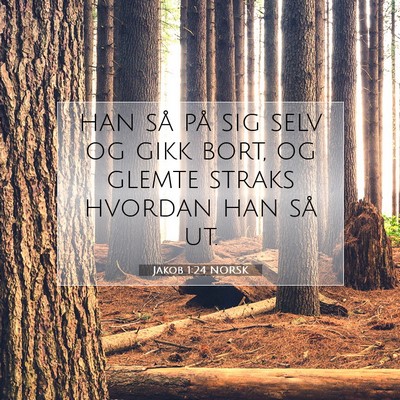 Picture 07 - Jakob 1:24 NORSK - han så på sig selv og gikk bort, og glemte - Bible Verse Picture