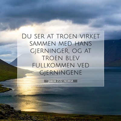 Picture 07 - Jakob 2:22 NORSK - Du ser at troen virket sammen med hans - Bible Verse Picture