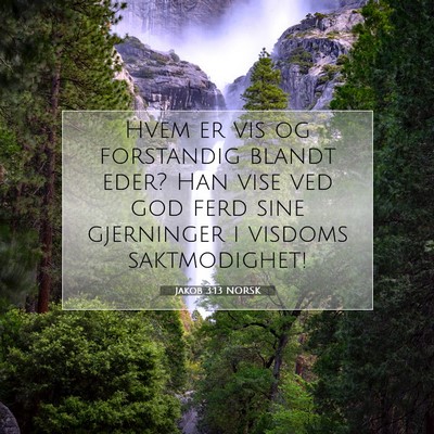 Picture 07 - Jakob 3:13 NORSK - Hvem er vis og forstandig blandt eder? Han vise - Bible Verse Picture