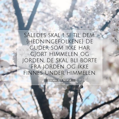 Picture 07 - Jeremia 10:11 NORSK - Således skal I si til dem: {hedningefolkene} De - Bible Verse Picture