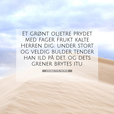 Picture 07 - Jeremia 11:16 NORSK - Et grønt oljetre prydet med fager frukt kalte - Bible Verse Picture