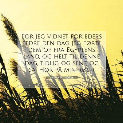 Picture 07 - Jeremia 11:7 NORSK - For jeg vidnet for eders fedre den dag jeg førte - Bible Verse Picture