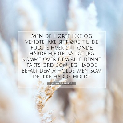Picture 07 - Jeremia 11:8 NORSK - Men de hørte ikke og vendte ikke sitt øre til; - Bible Verse Picture