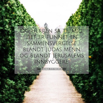 Picture 07 - Jeremia 11:9 NORSK - Og Herren sa til mig: Det er funnet en - Bible Verse Picture