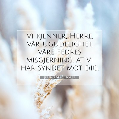 Picture 07 - Jeremia 14:20 NORSK - Vi kjenner, Herre, vår ugudelighet, våre fedres - Bible Verse Picture