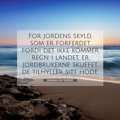 Picture 07 - Jeremia 14:4 NORSK - For jordens skyld, som er forferdet fordi det - Bible Verse Picture