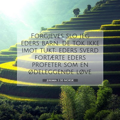 Picture 07 - Jeremia 2:30 NORSK - Forgjeves slo jeg eders barn; de tok ikke imot - Bible Verse Picture